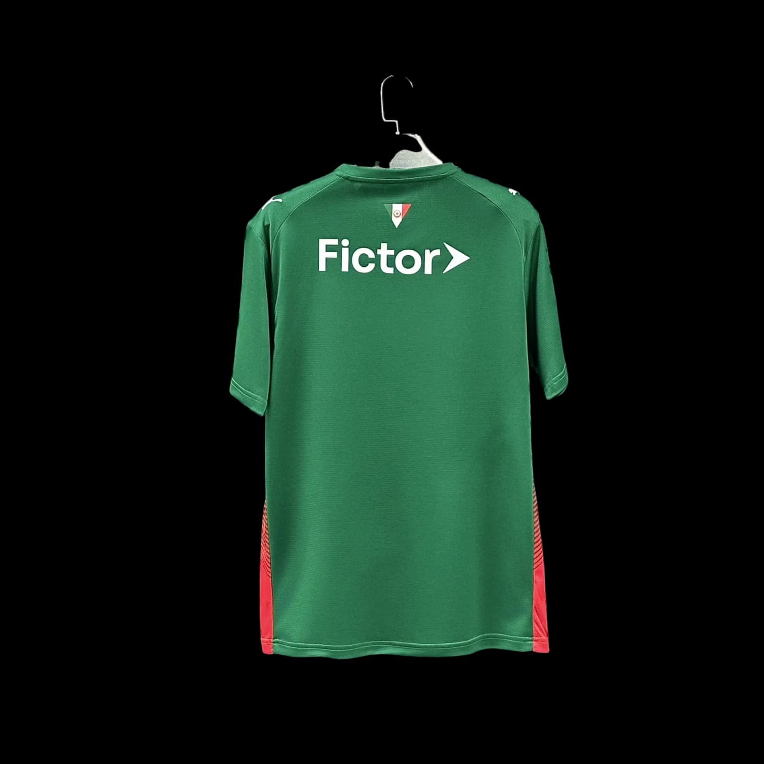 Vue arrière Palmeiras Maillot Domicile 2627