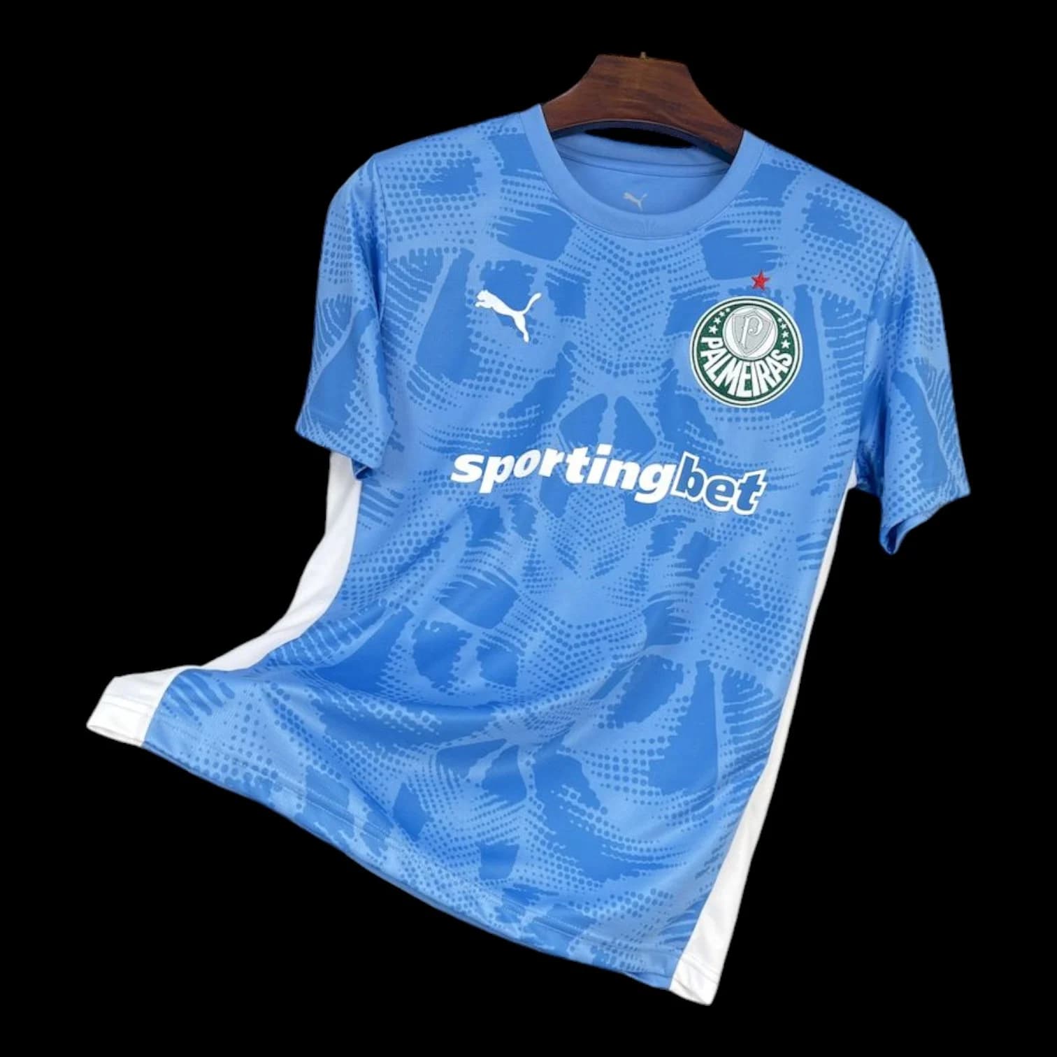 Maillot Palmeiras Maillot Gardien 2526 pas cher - Boutique Officielle KIT FOOTBALL