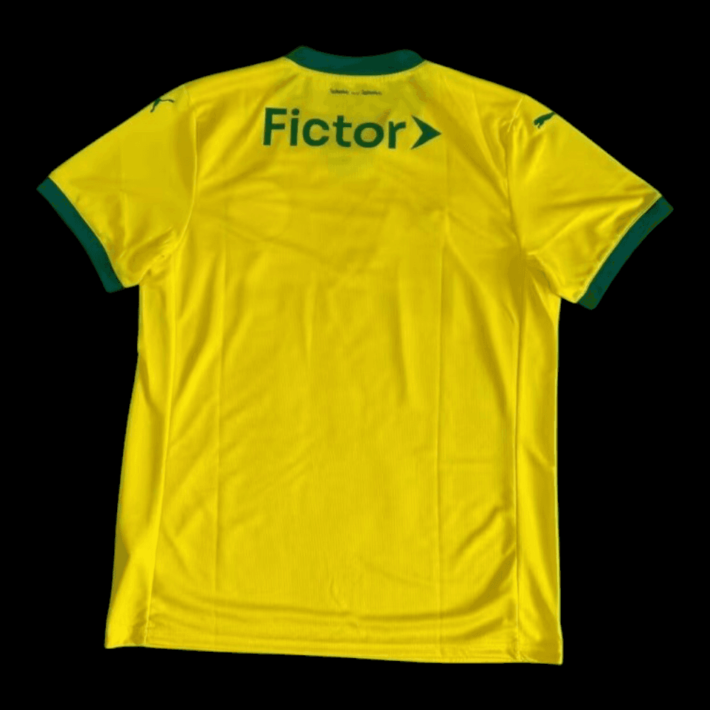 Palmeiras Maillot Third 2526 - Vue 2