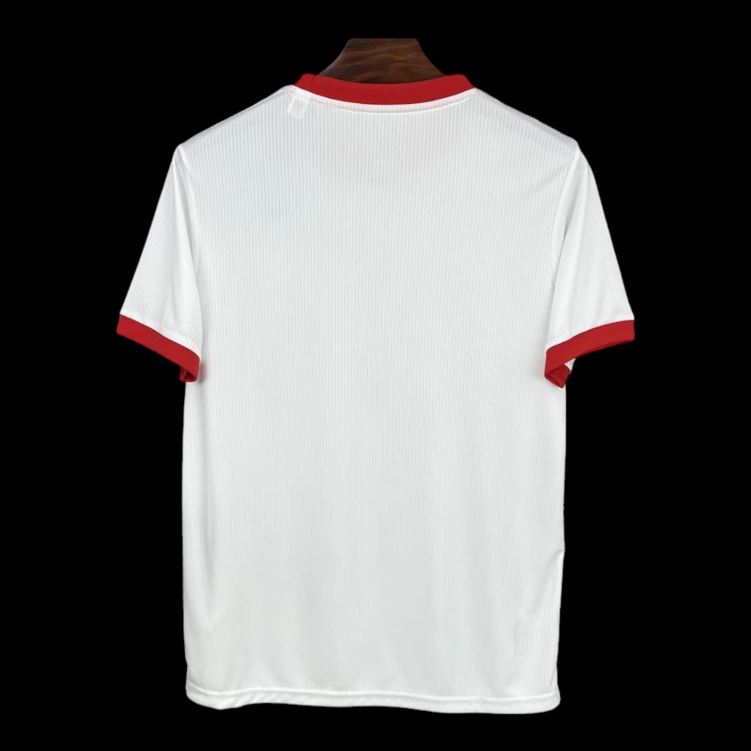 Vue arrière Benfica Maillot Anniversaire