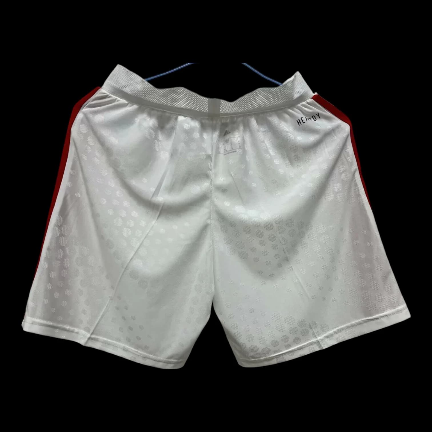 Benfica Short Domicile 2526 - Vue 2