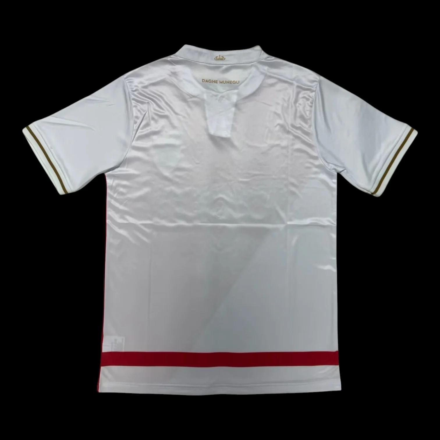Vue arrière Monaco Maillot Domicile 2526
