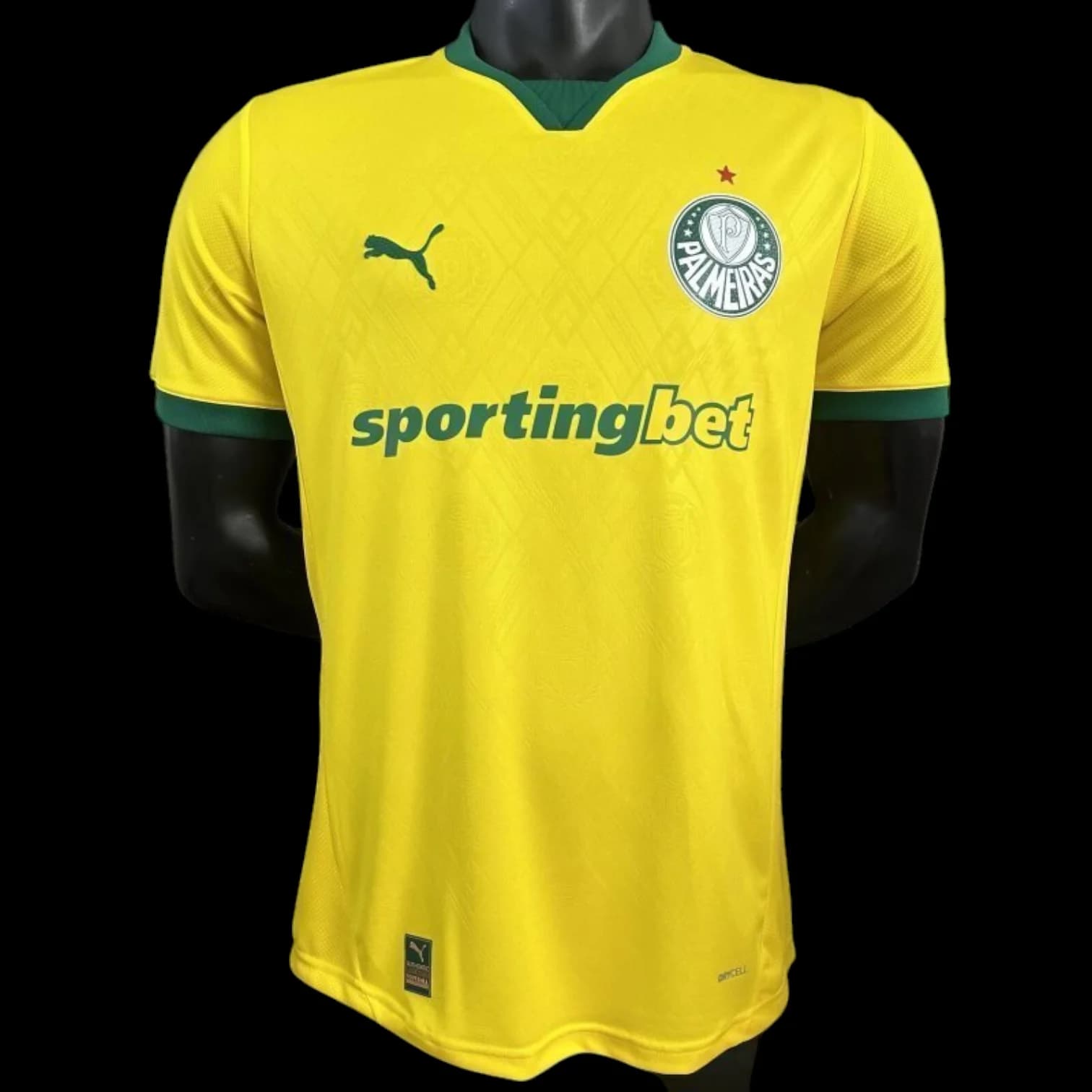 Palmeiras Maillot Third 2526 – Version Player - Vue 1