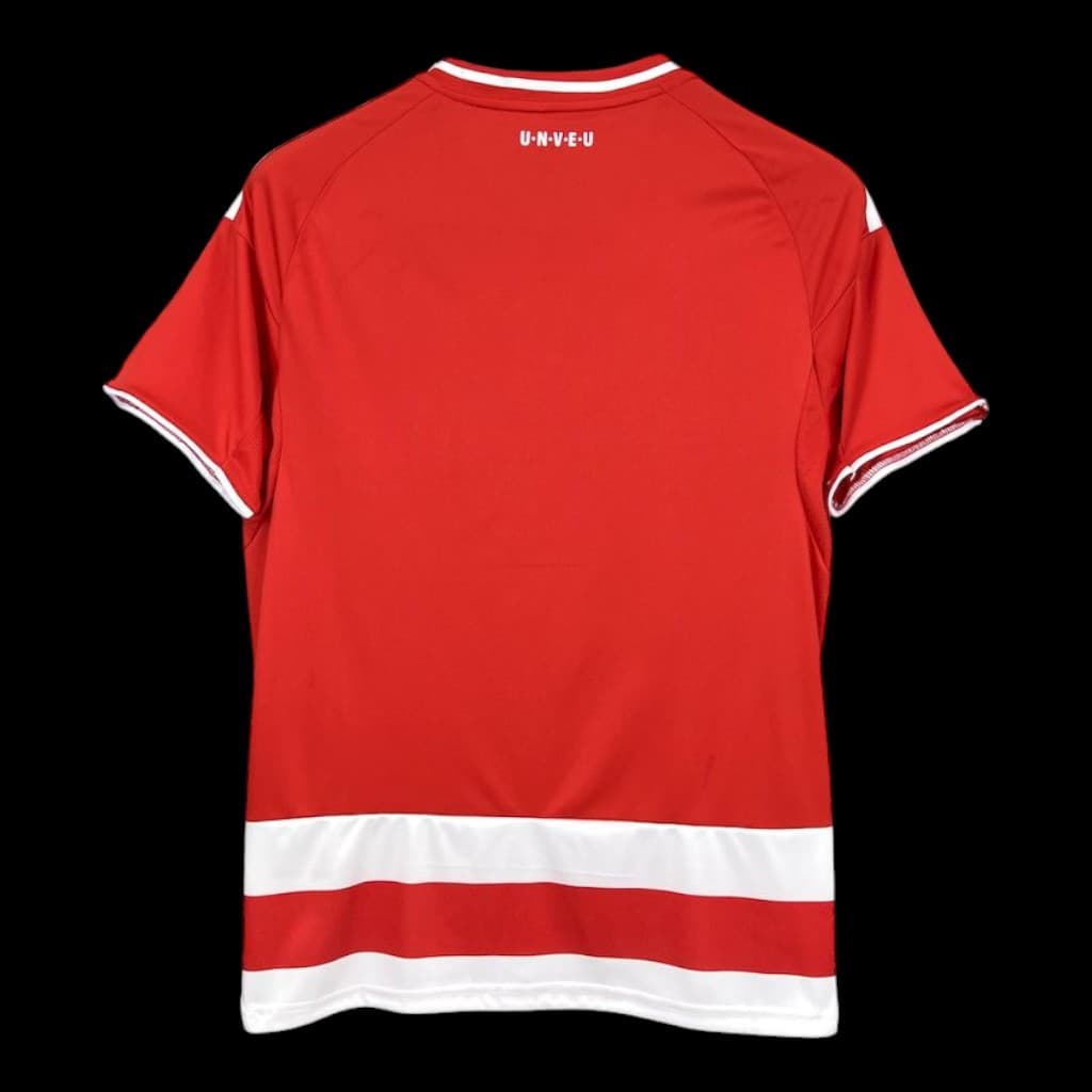 Vue arrière Union Berlin Maillot Domicile 2526
