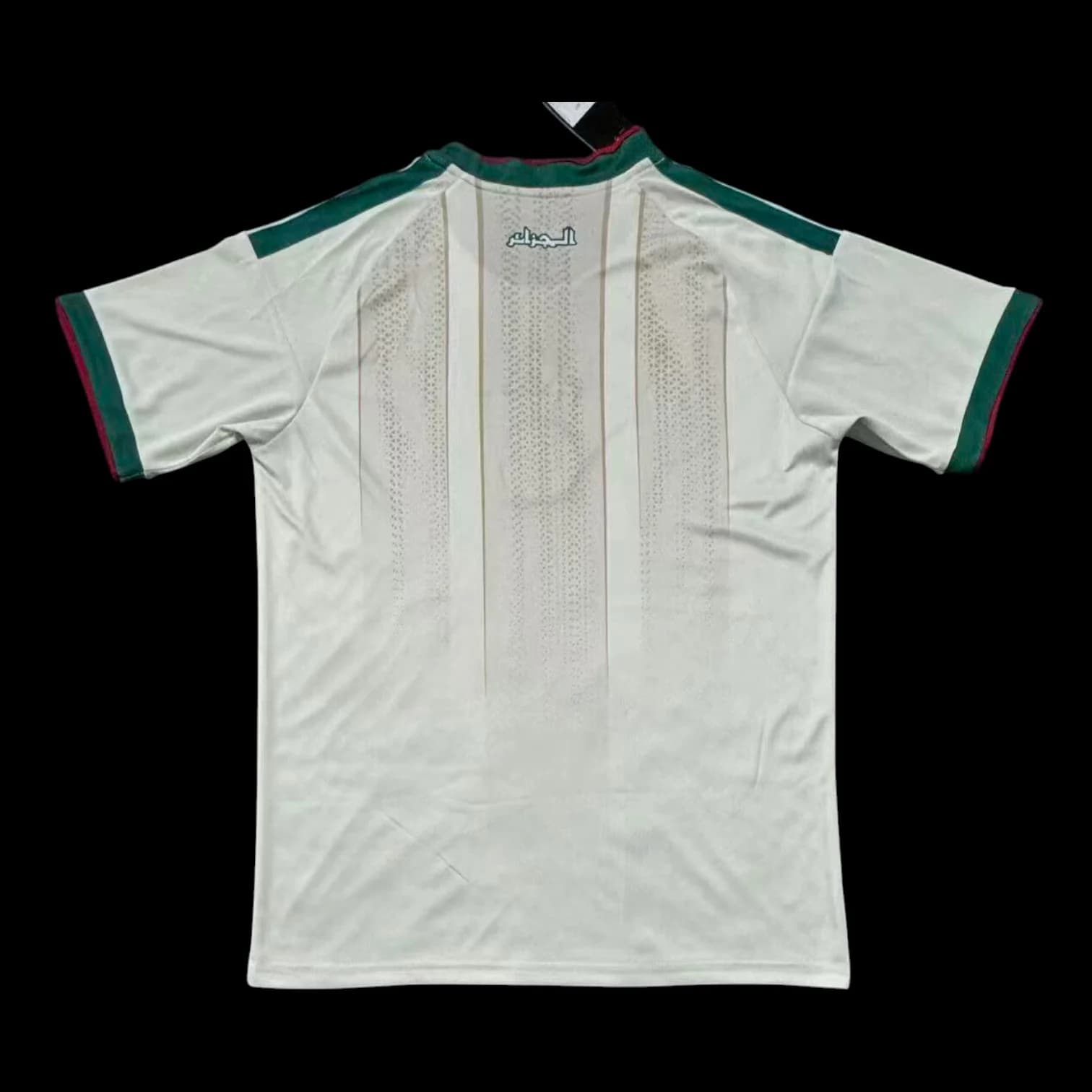 Vue arrière Algérie Maillot Domicile 2627