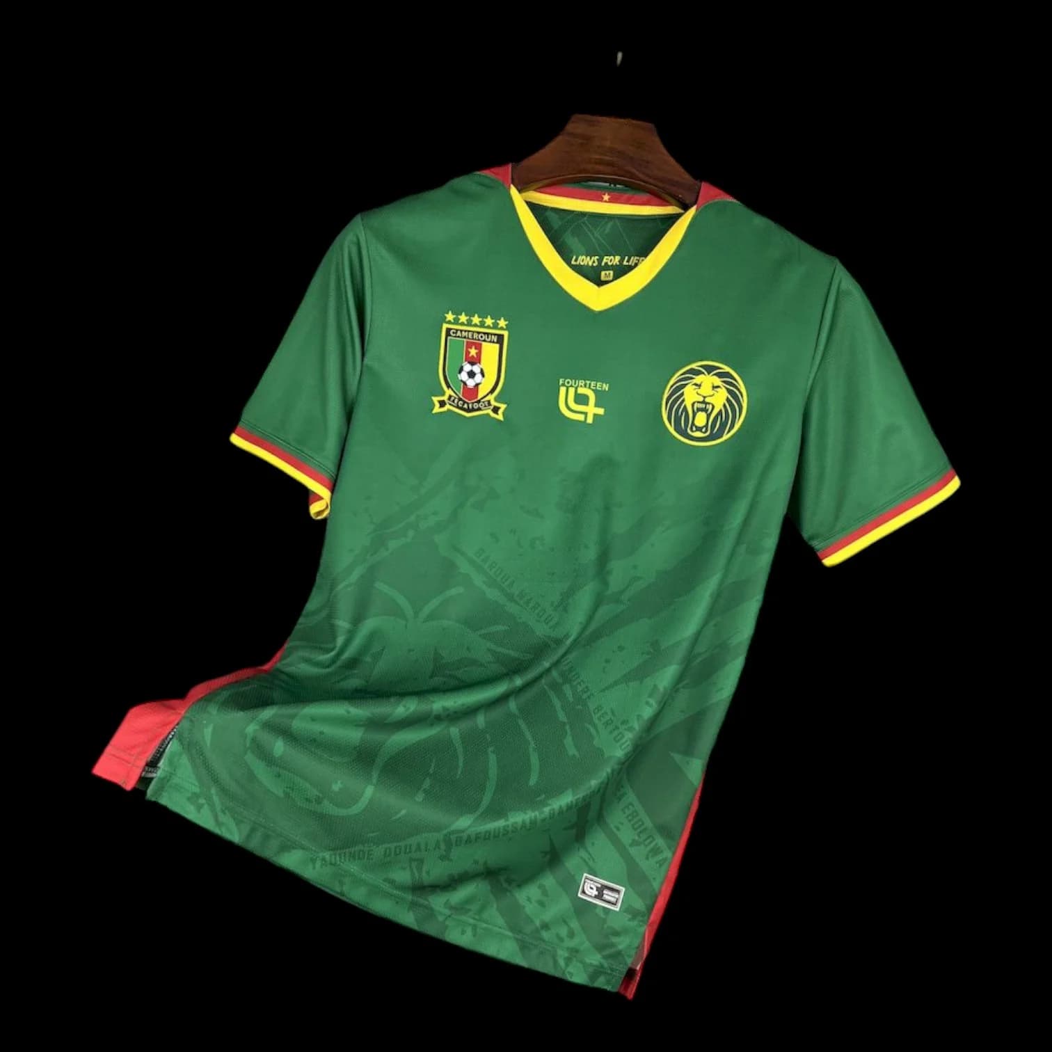Maillot Cameroun Maillot Domicile 2526 pas cher - Boutique Officielle Cameroun