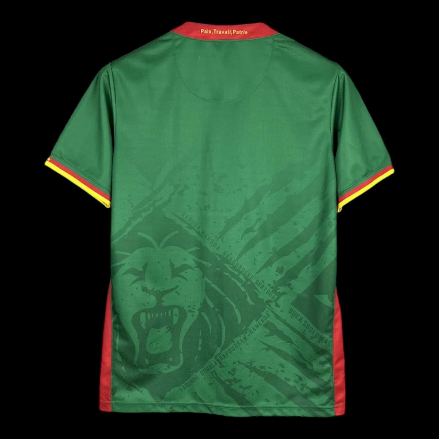 Vue arrière Cameroun Maillot Domicile 2526