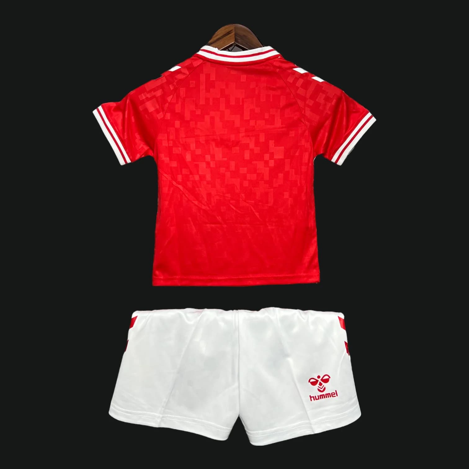 Vue arrière Danemark Maillot Domicile 2425 – Enfant