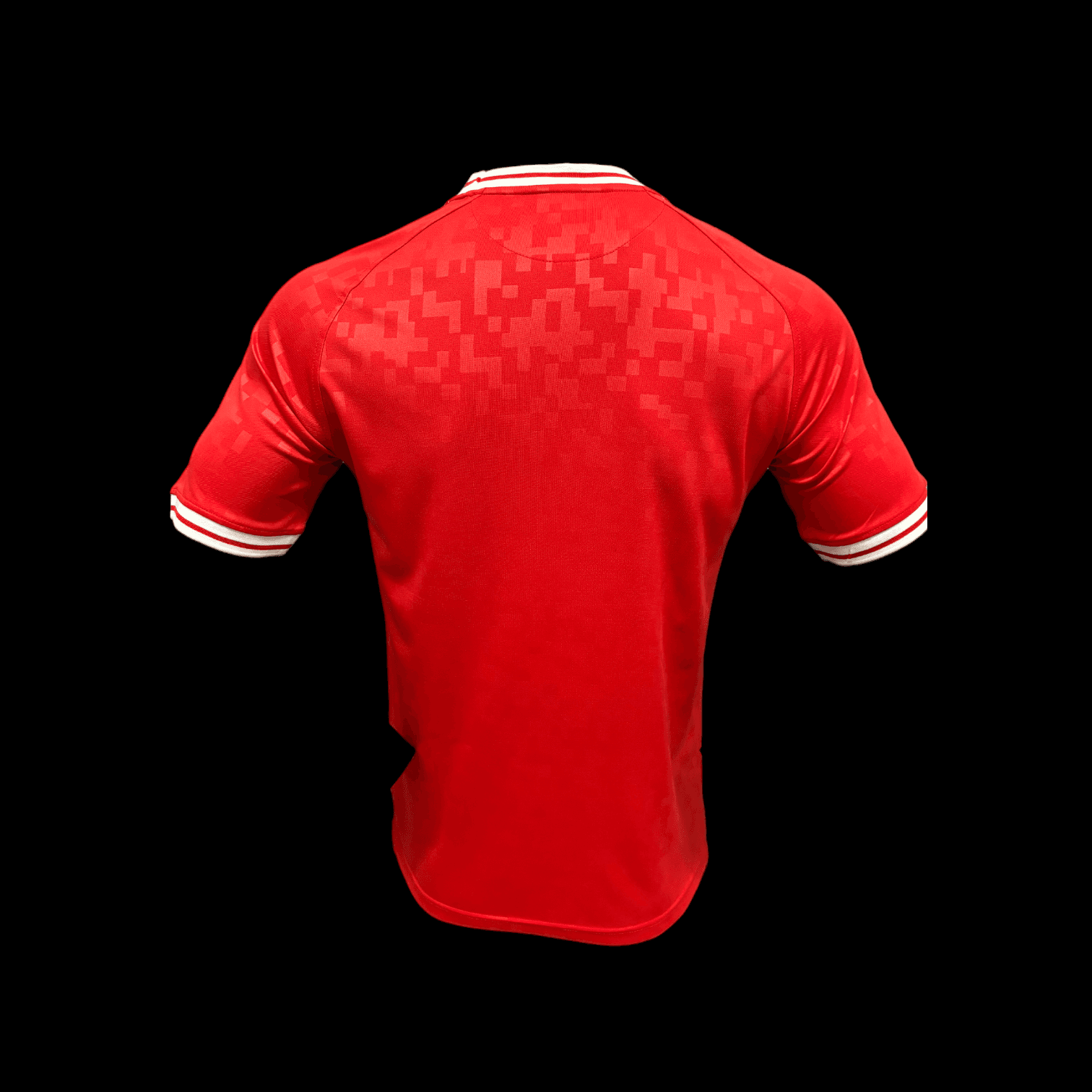 Vue arrière Danemark Maillot Domicile 2425 – Version Player