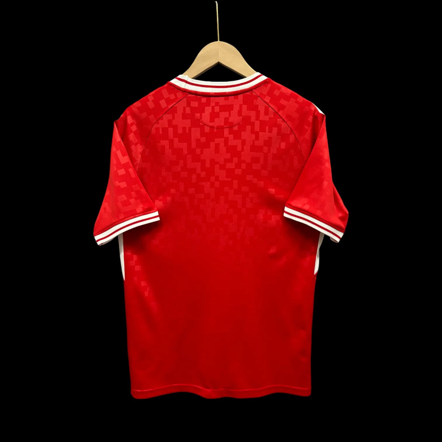 Vue arrière Danemark Maillot Domicile 2425