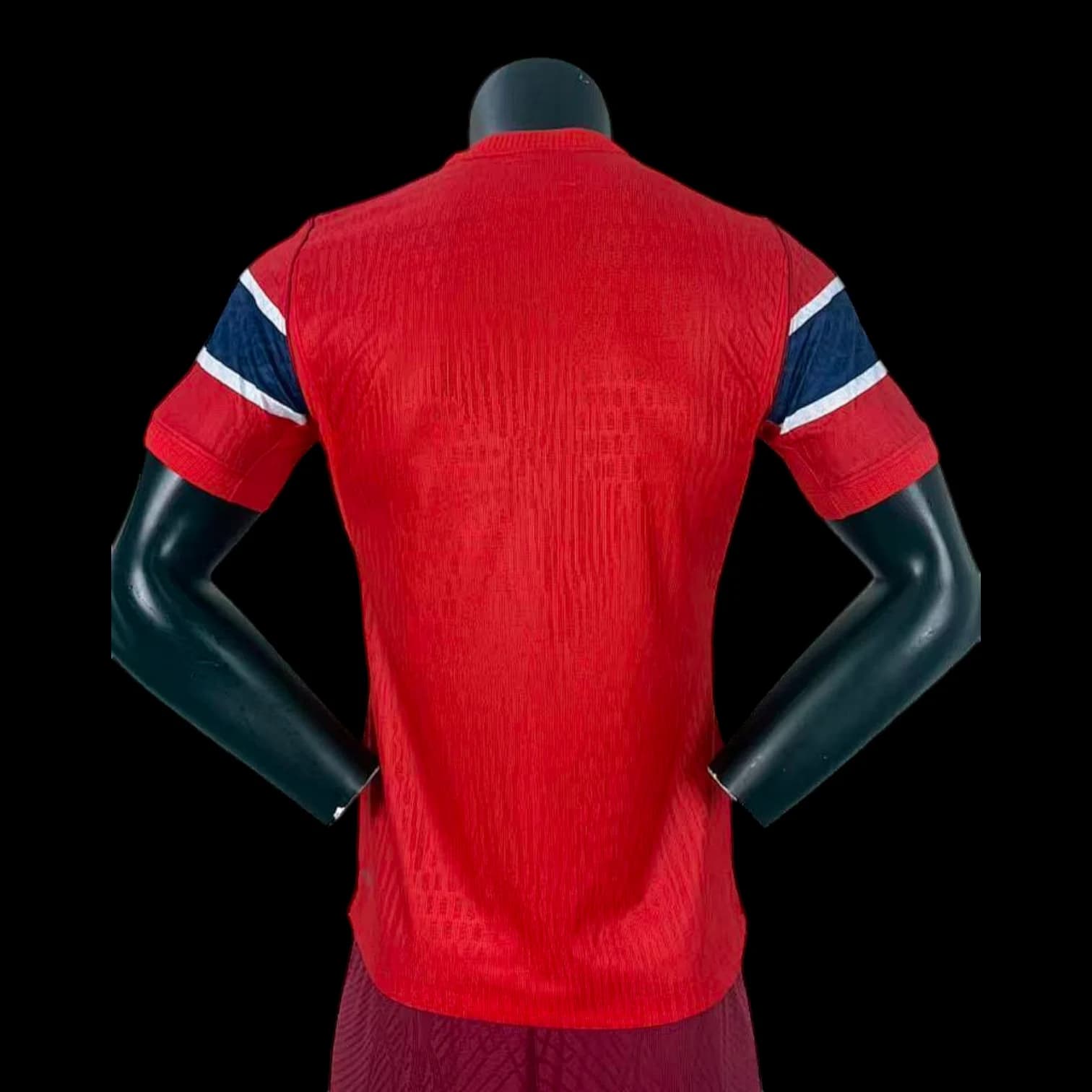 Vue arrière Norvège Maillot Domicile 2627 – Version Player