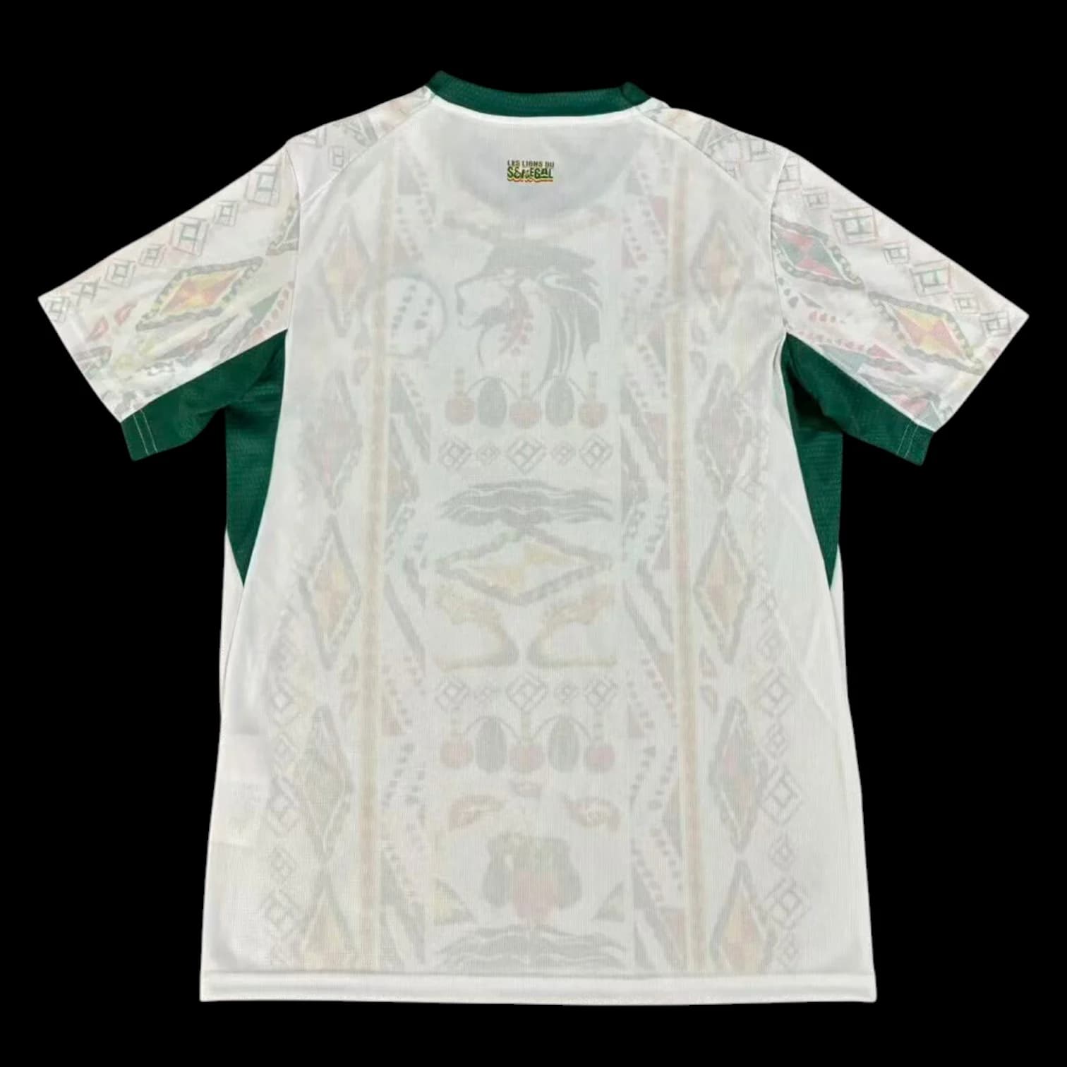 Vue arrière Sénégal Maillot Domicile 2627