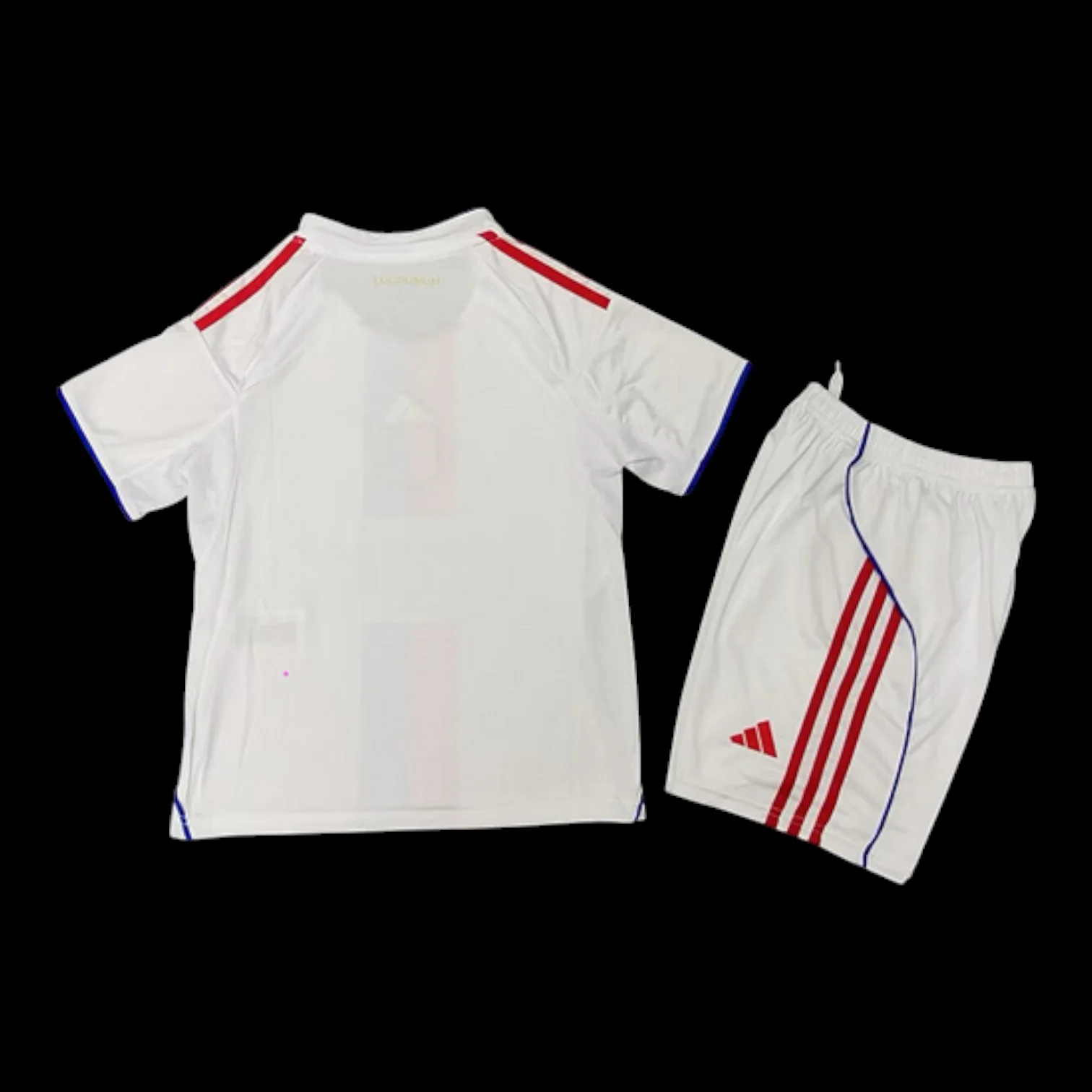Vue arrière Lyon Maillot Domicile 2526 – Enfant