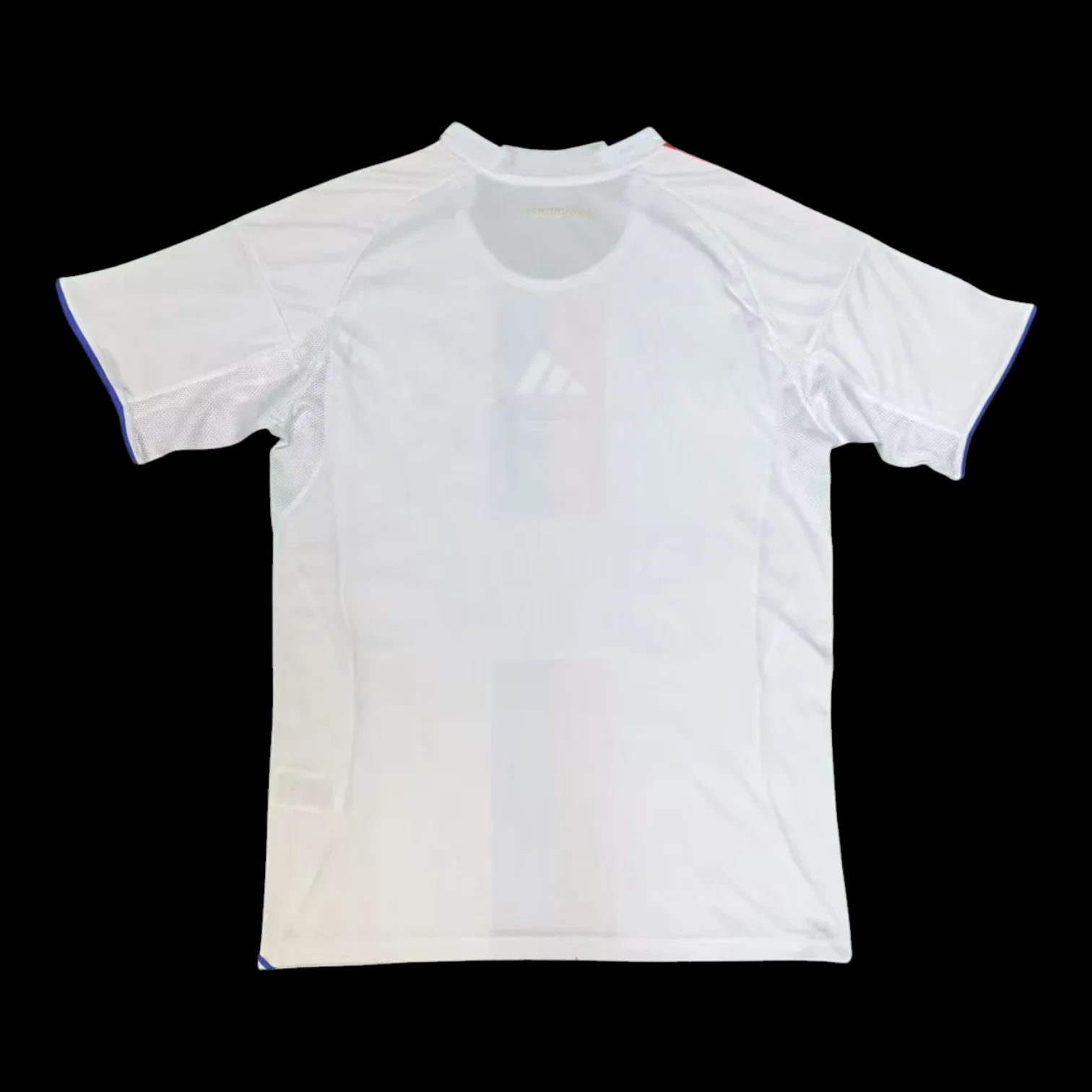 Vue arrière Lyon Maillot Domicile 2526