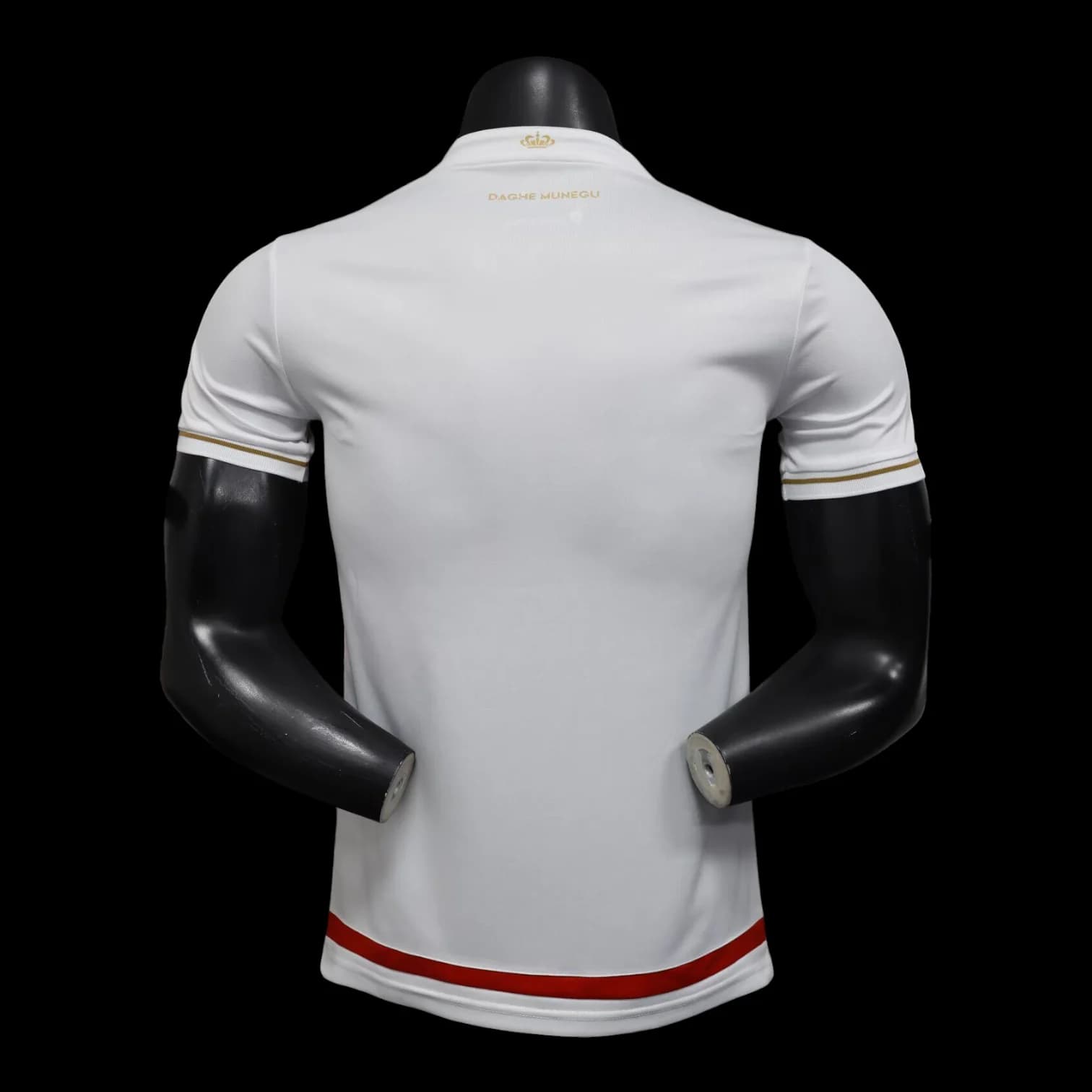 Vue arrière Monaco Maillot Domicile 2526 – Version Player