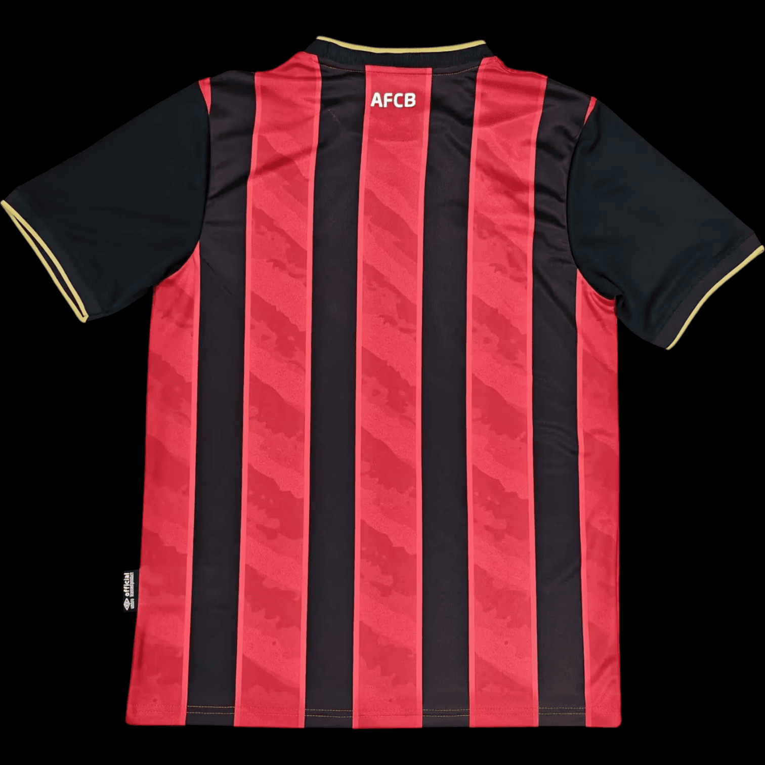 Vue arrière Bournemouth Maillot Domicile 2526