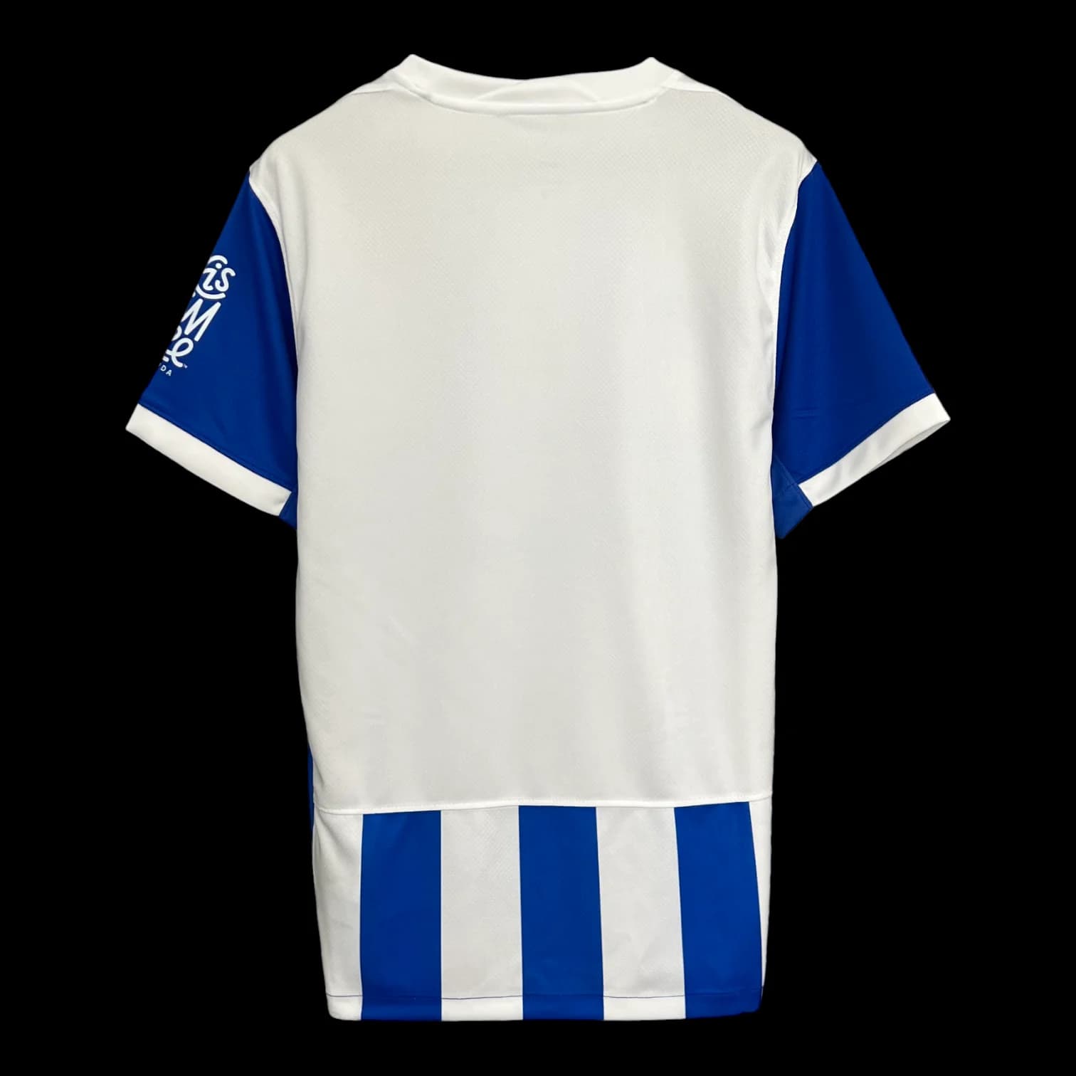 Vue arrière Brighton Maillot Domicile 2526