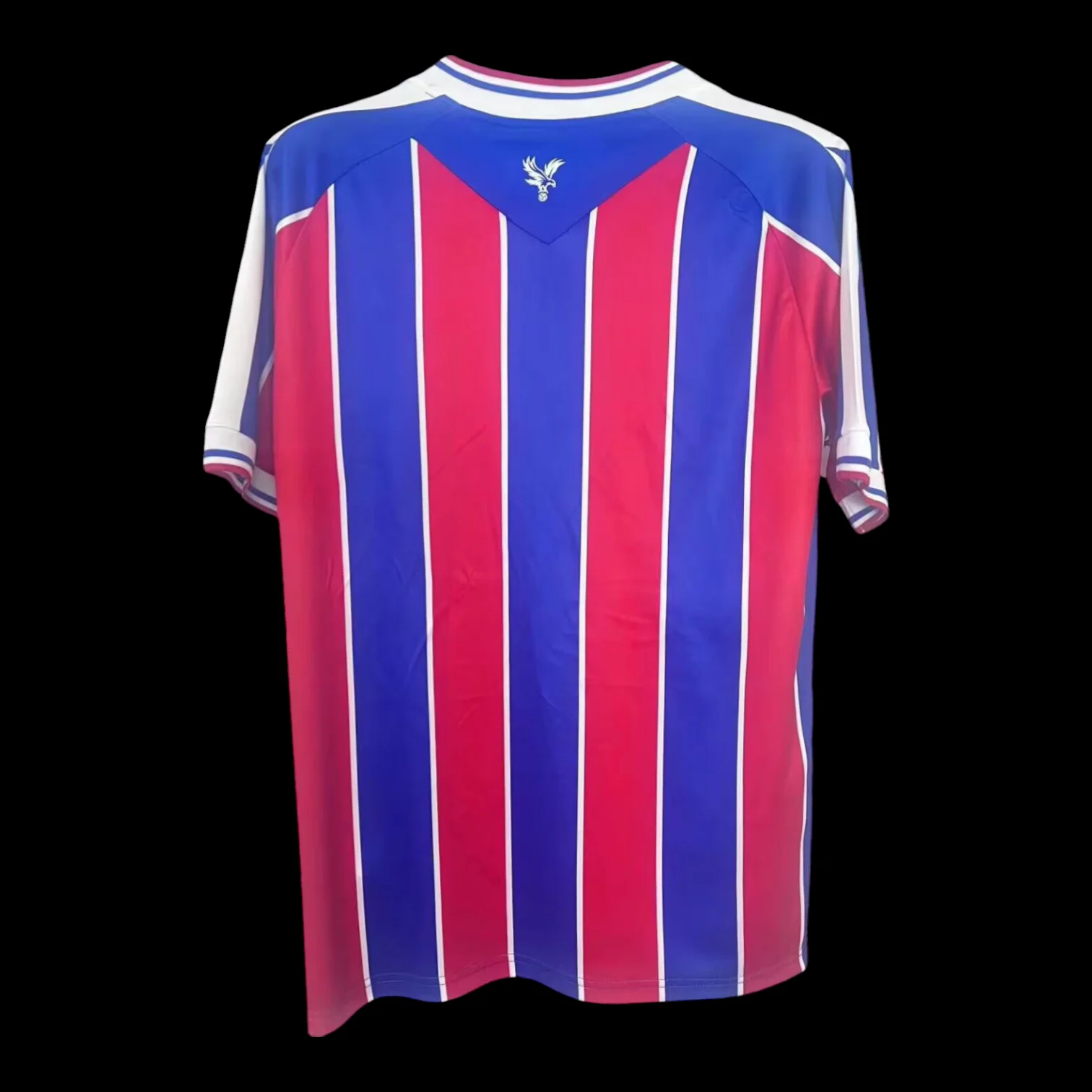Vue arrière Crystal Palace Maillot Domicile 2526