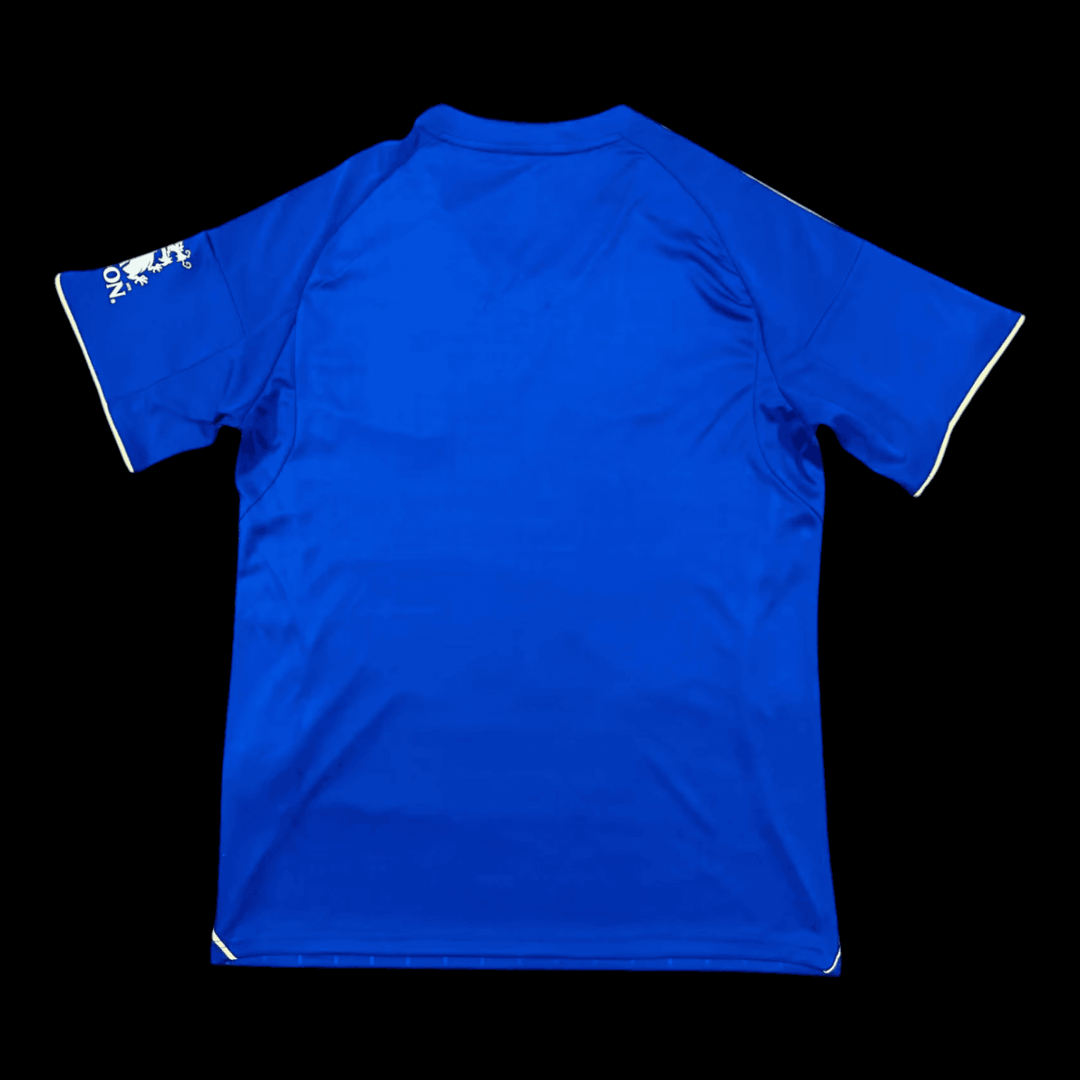 Vue arrière Leicester City Maillot Domicile 2526