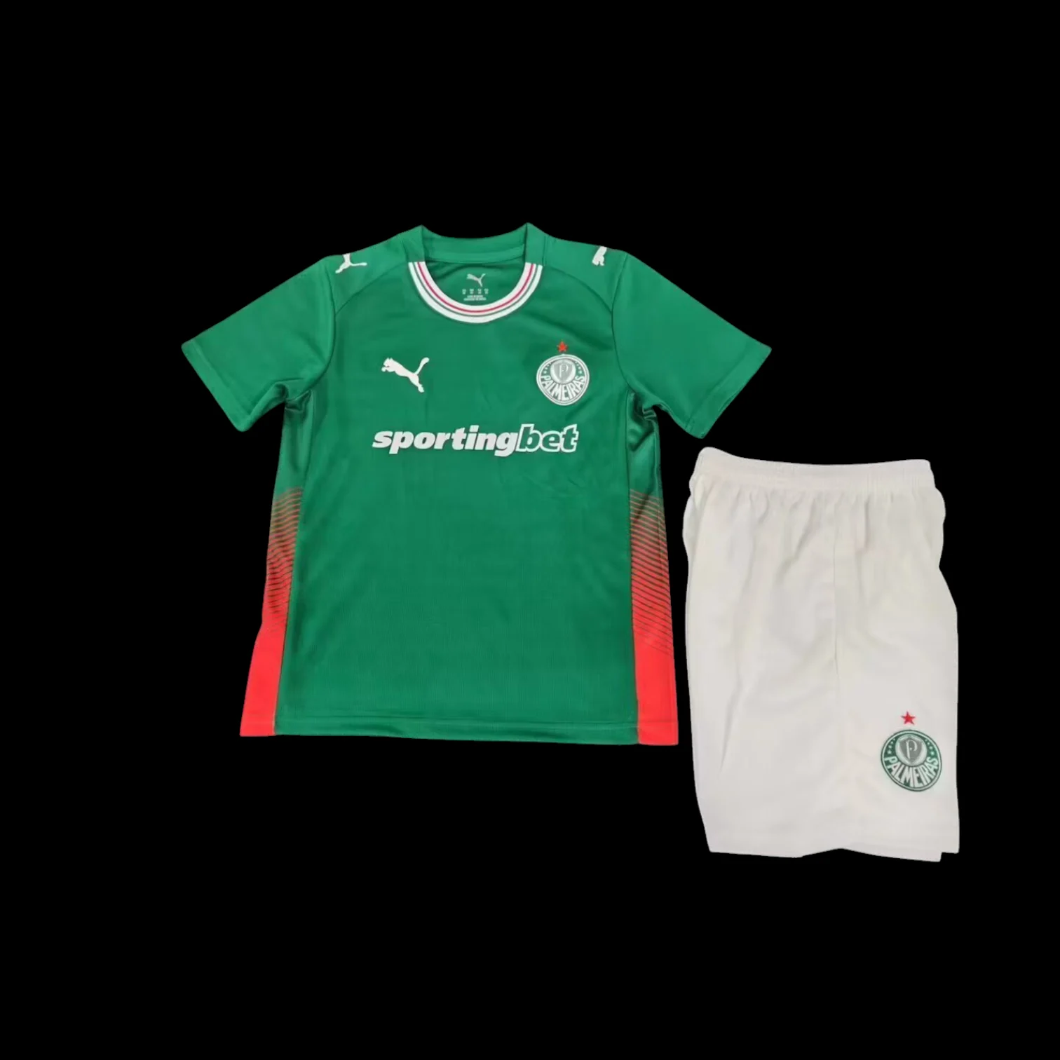 Maillot Palmeiras Maillot Domicile 2627 – Enfant pas cher - Boutique Officielle KIT FOOTBALL
